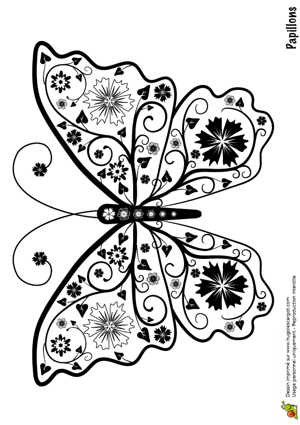 Papillon Coloriage A Imprimer
