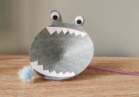 Jeu de l&eacute;vitation&nbsp;: fabriquez facilement la c&eacute;l&egrave;bre balle &agrave; souffler avec vos enfants