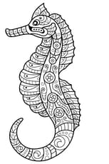 Coloriage hippocampe styl&eacute;
